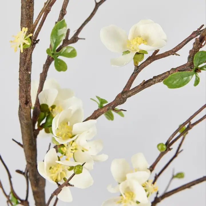 Artificial Flowers | Cream Artificial Blossom Branch