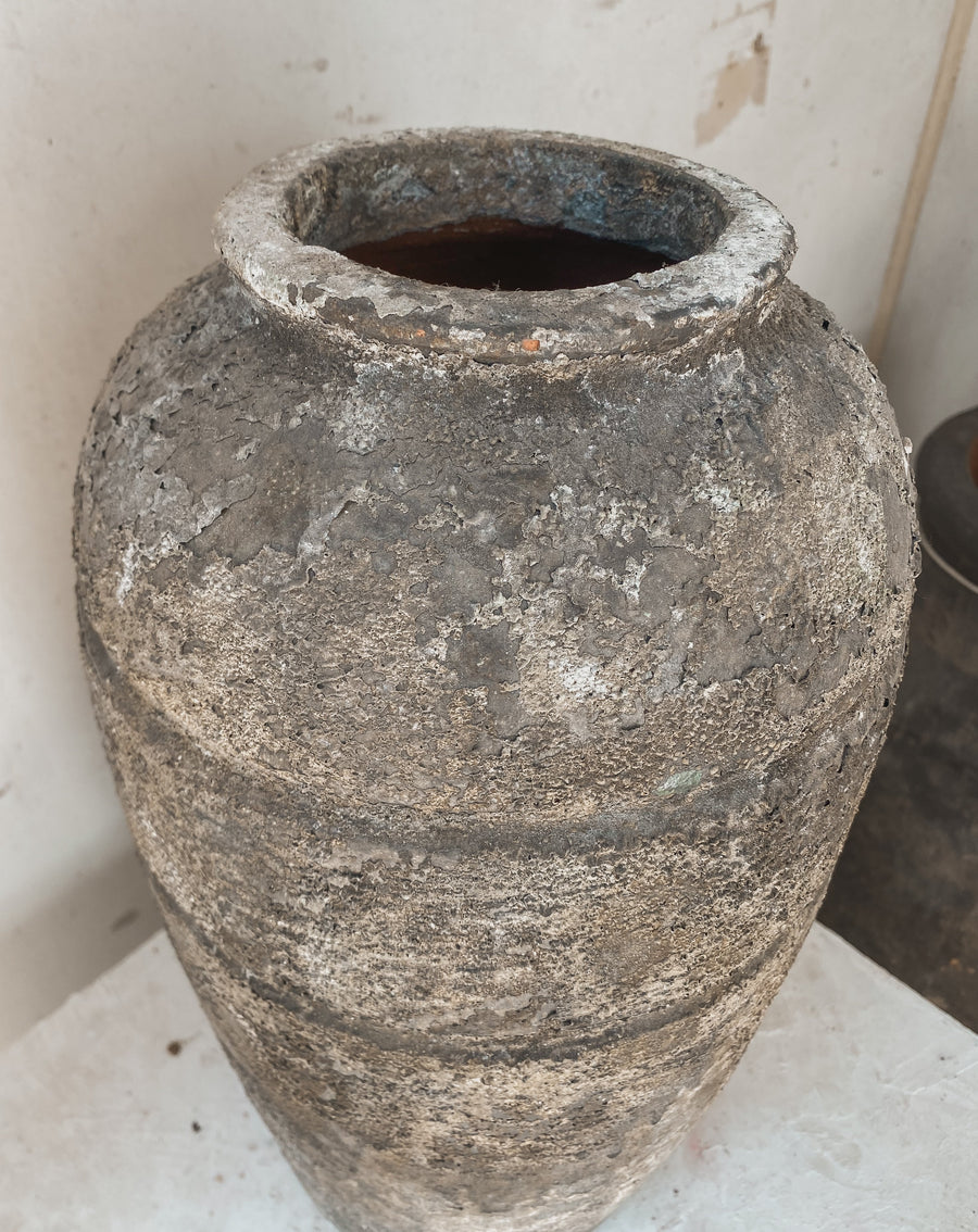 Auva 16" x 8"