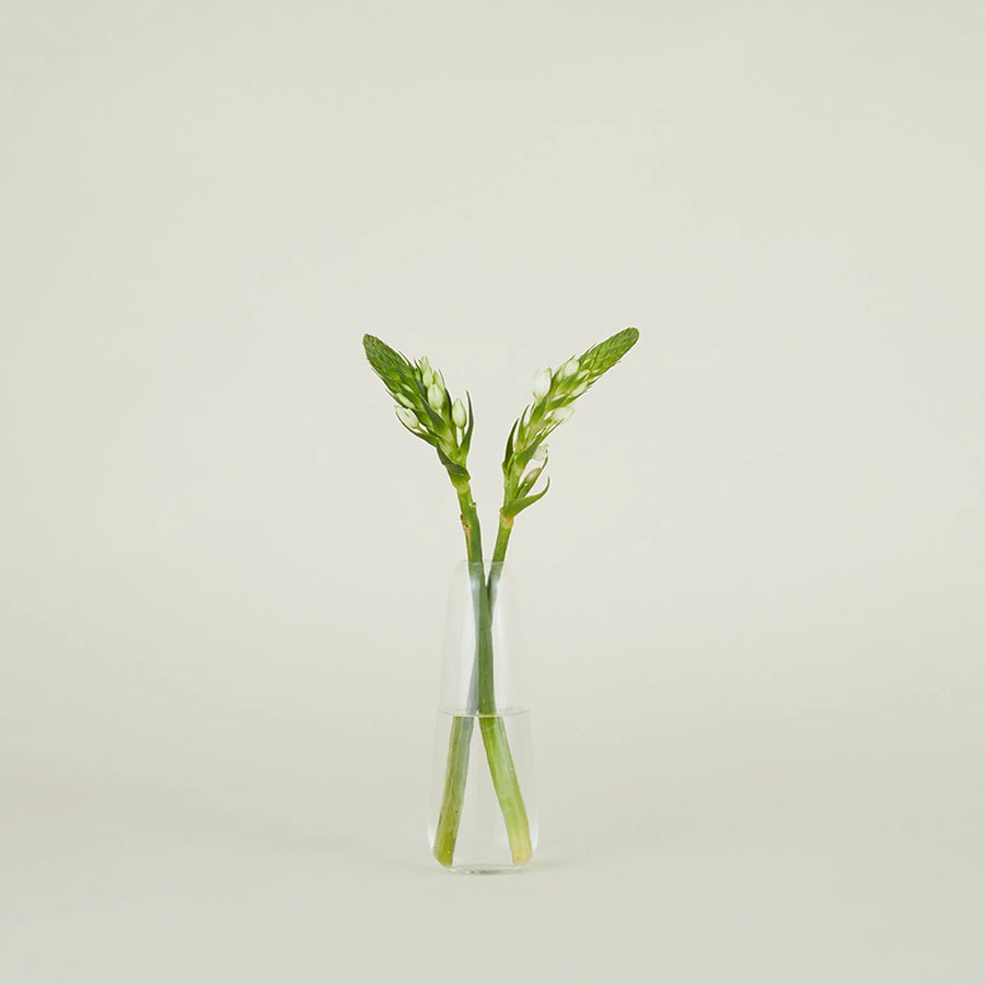 Aurora Slim Drop Vase